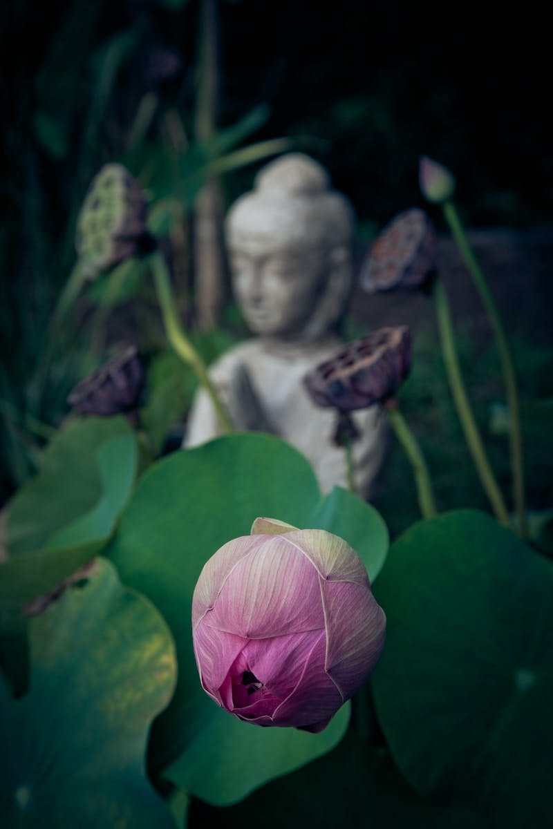 Meditation, Reflecting Buddha